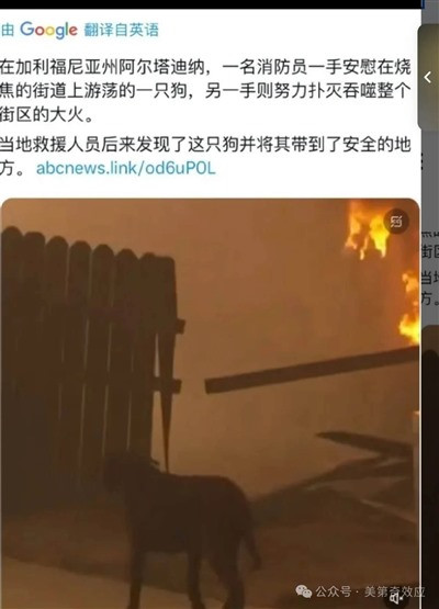 因为这次洛杉矶大火嘲笑美国的,都是些没见识的自媒体。人家这次体现出来的高超谋划力、绝顶组织力,绝对经济拉动力和丧事喜办推高GDP的能力,显然比我们领先许多年。