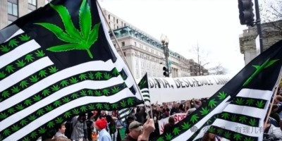 大麻解禁,拜登“赢麻”