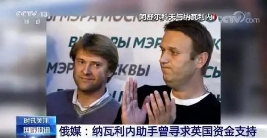 一个半死不活的毛熊才是好毛熊。