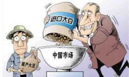 1994年,莱斯特•布朗(Lester Brown)的《谁来养活中国》引发国际舆论高度关注 。“谁来养活中国”表面在谈中国,实际上并不关心中国的粮食供应,而是担心如果中国粮食进口量极其庞大,将会影响其他国家营养不足或者贫困群体的粮食消费。占少华老师的讲座有力地打破了此类对中国粮食战略的构陷和误导——谷物才是上述群体的主要食物来源,而中国的谷物基本自给自足,进口较少,并不会造成其他人口的食物短缺和饥