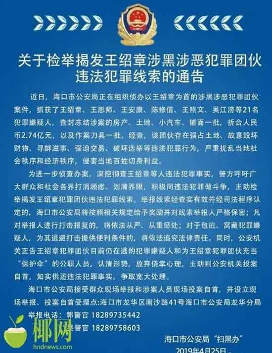中国村霸横行录
