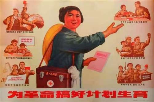 事实上，1979年为马寅初的《新人口论》平反并没有问题，但不幸的是，马寅初平反之后夸大了《新人口论》的“真理性”，更糟糕的是，不少主张严格实施独生子女政策者借助马寅初的“新人口论”否定毛泽东时代的人口政策和人口变迁，严重地误导了后人对中华人民共和国人口历史的认识。