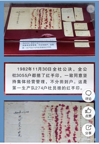 以建立“国家级现代化大型农业集团”为火车头,实现农业及引领全社会现代化的建议方案。