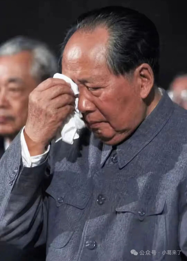 此情此景：谁能不为之动容？