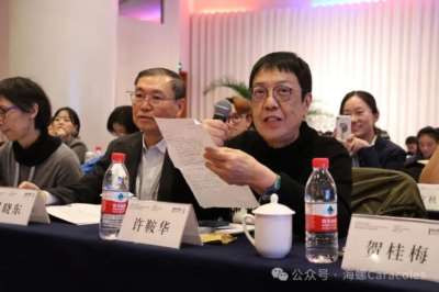 澎湃·文化课丨戴锦华与文化研究三十年
