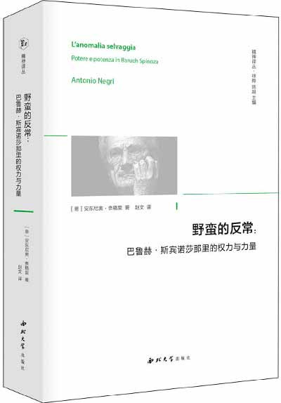 在我看来,重要的是认识到,这里不仅有团结的可能,更有共同斗争的可能。而这并不一定要靠经验分析来证明大家处在同样的境况,拥有完全一致的利益。更关键的,往往是前面提到的那种战略决断:没有谁优先于谁。