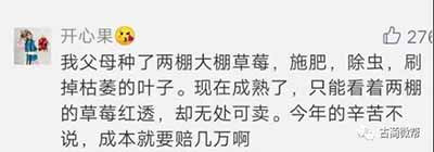 有些人,光活下去,已经是拼尽全力了……