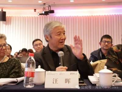 澎湃·文化课丨戴锦华与文化研究三十年
