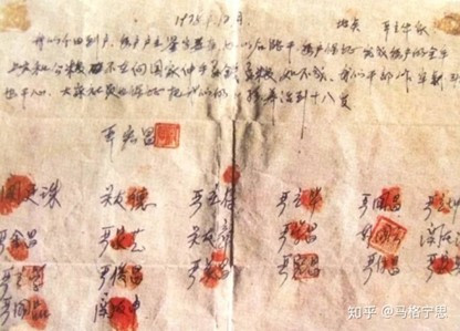 以建立“国家级现代化大型农业集团”为火车头,实现农业及引领全社会现代化的建议方案。