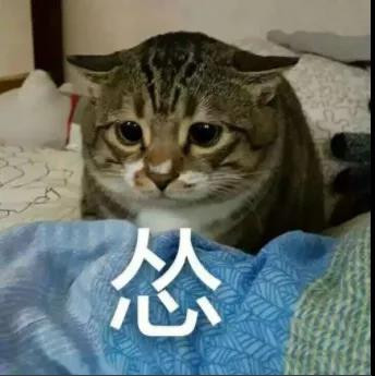 黑命贵？共和党老白皮告诉你到底谁的命贵！