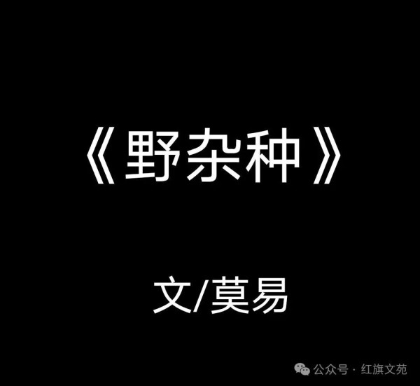 莫易:野杂种