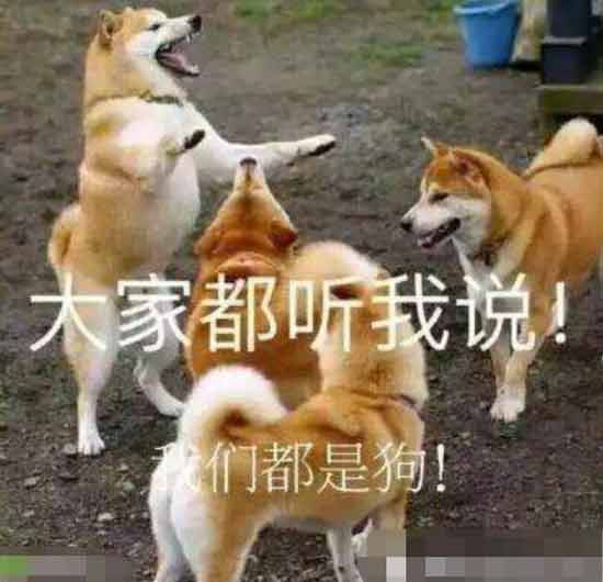 统治阶级的御民之术，就是把你们分开，各自为政，让大家自私、自利、互相瞧不起，这就变成了“散装的人民”，这就好对付了，一只脱离群体，只会咩咩叫的羊，还不是想怎么收拾怎么收拾？