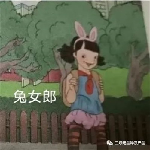 这些人利用教科书荼毒我们的孩子,是在美与丑、善与恶、好与坏、爱与恨、自尊与羞耻的标准上重新定义,也就是在事关人格形成的基础概念与标准上形成混乱,使得这些孩子很难形成健康的人格。