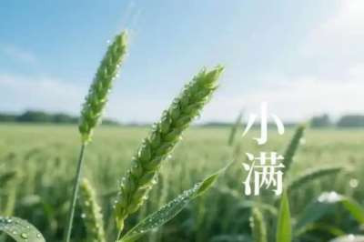  闫宏伟：节气诗词之小满（2026.5.21）