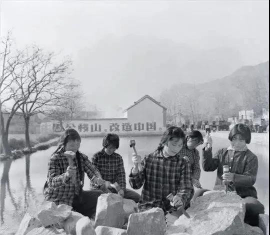 单单靠技术和产量的提高,没有办法彻底解决资本主义条件下的饥饿 。
