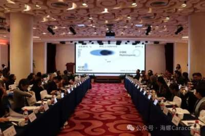 澎湃·文化课丨戴锦华与文化研究三十年