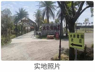 所有这些案件都揭示，在该国的部分领域和地区，市场经济/资本主义下资本家为了实现利润最大化，正在不惜与地方官员勾连结盟，系统性地侵蚀耕地和破坏生态。