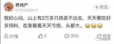 有些人,光活下去,已经是拼尽全力了……