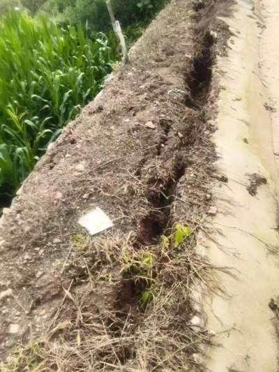 暴雨下的东北民间，正在经历什么？