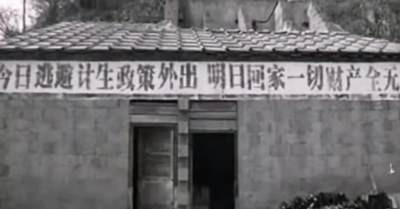 性教育是毛时代计划生育的重要一环,八十年代末孙沐寒重申了性教育对计划生育的重要性,由于八十年代色情文化死灰复燃及清除精神污染运动的推行,性再次成为一大禁区。