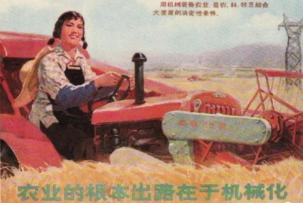 墨茶在打工的经历中,被欠过薪,被骗过钱,如果在维权的过程中一不小心,就可能违法。