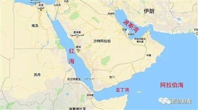 这次金砖扩员关系到整个世界的“能源安全、粮食安全、地缘政治安全”。