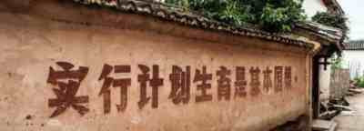 人口负增长?这个国家有绝招!