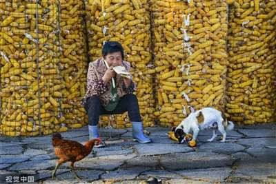 今天我们谈粮食问题,有一个特殊背景,就是当前的“俄乌冲突”加剧了全球粮食的紧张局面。但我们中国还比较风平浪静,市场上的粮食供应充足,价格稳定,而这要得益于中国政府很早就重视粮食生产,坚持“把饭碗紧紧抓在自己手里”。目前,中国已经控制了粮食安全的全产业链,所以就不会被别人“卡脖子”,中国的老百姓也才可以安享和平的生活。