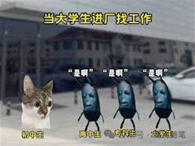 流水线没有未来，但这并不意味着未来的社会就没有生产力的进步和技术的创新，而是意味着在新的生产模式下，我们必须重视劳动者的地位，重新审视生产关系。…而且，当用工状态更加原子化，对于未来的思考也是紧迫的新课题。