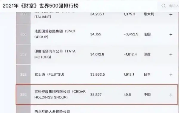 第二个许家印！又一首富栽了！世界500强全靠造假，千亿帝国清零