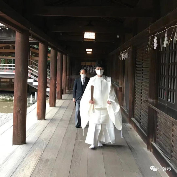 日本这件事太恶心!