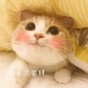 《民主课》以小说形式还原了20世纪60-70年代的历史现场，带我们回到了那个激情燃烧的岁月，让我们看到了那些不论幼稚不论荒唐却充满真诚善良的普通人的成长，以及中国人民生生不息的对平等的追求和要求。