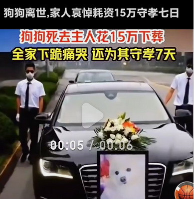 在鲜明的对比下，老百姓活得不如富豪的一条狗!这本身就是极大的悲剧，是对执政者极大的讽刺，应该引起党政部门的重视予以纠正