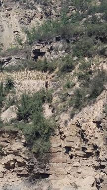 山西吕梁地区的广大农村，三十多年来被乱开滥采，山体崩塌，土地裂缝，水源断流，房屋倒塌，怨声载道，民声鼎沸。当地农民无数个村千家万户被迫迁移，无家可归，流离失所、儿童失学的惨状，让我们震惊，于是许多人上访、告状、呼喊，可是结果是什么呢？我们在《走进新时代的坪头乡》里描述的只是冰山一角，九牛一毛（关于吕梁农村调查，我们今后还要继续报道）。然而，问题至今收效甚微，不能得到根本解决。这，有必要引起广大有识