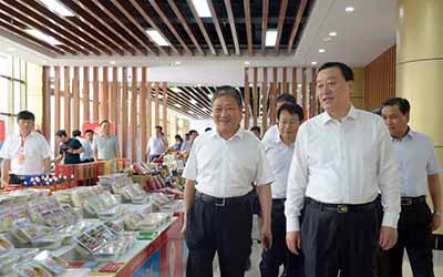“全国粮食产业经济现场会”参会人员观摩南街村