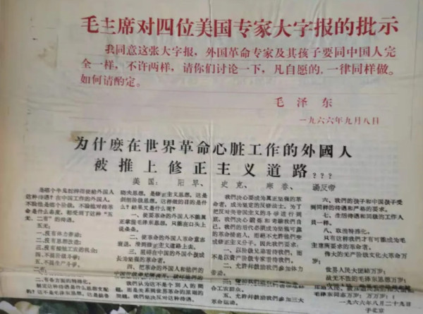 她用自己一生的经历告诉当代的青年：不必沉沦、不必痛苦，更不要苟且于眼前的苟且!一个没有人剥削人，没有人压迫人，一个可以把个人的爱好和人民的需要融为一体的“理想国”是真实存在过的，在不远的将来也是完全可能再现的，“她”值得每一个有志青年去为之斗争、为之努力。