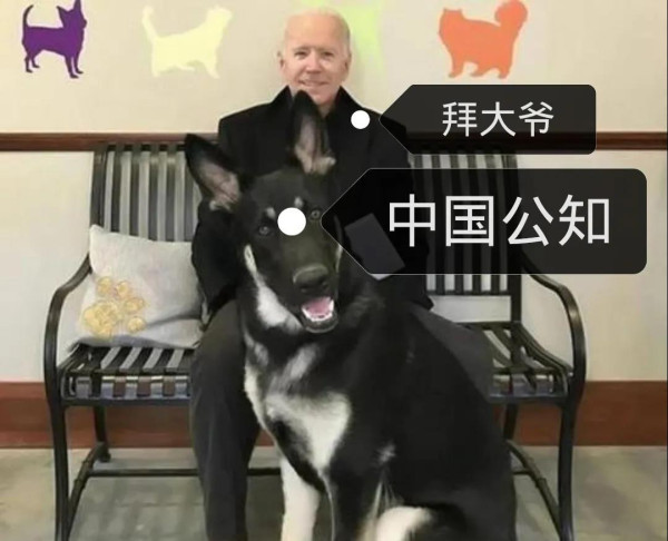 超“疾”大国，“毒”领风骚！就是在这种情况下，他们还有脸要求中国“道歉”，甚至向中国“索赔”……