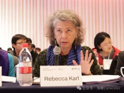 澎湃·文化课丨戴锦华与文化研究三十年