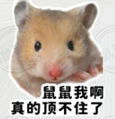 一个年轻人说自己是“鼠人”，通常不是在说自己真的一无所有，而是在说：自己的生活空间很小，收入不高，未来不确定，在社会竞争中缺乏优势，既看不到明显的上升通道，也承受不起太大的失败成本。