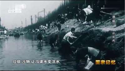 青蒿素是传统中医药送给世界人民的礼物