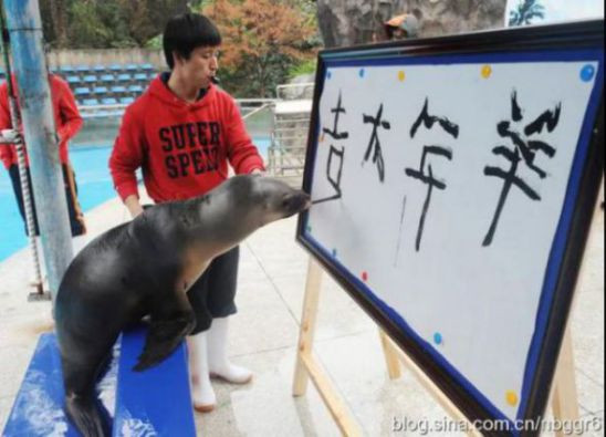 在垄断资本主义时代，动物园中的动物相较之前，被纳入了更长的产业链条，再生产着更加复杂的生产关系与意识形态；主题公园、长途旅行、大众传媒都让动物园中的动物更深层次地嵌入人类社会的结构中。