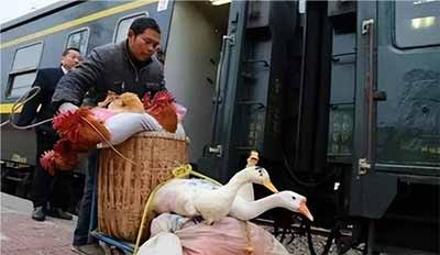 年代纪事：七十年代，宝成铁路上，一些难忘的记忆（一）