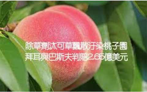 月报｜《生物安全法》征集意见，4500名群众上书要求涵盖转基因