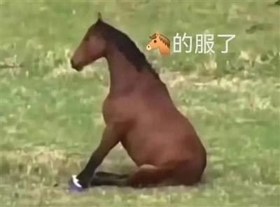 我真是求求某些主编了,别拉踩了,求求某些有能力的大佬了,帮帮孩子们吧,求求某些领导了,别装死了,别透支公信力了,别带坏江西名声了