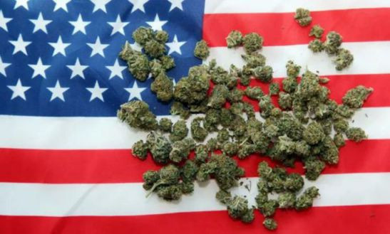 自由的流浪汉，抽了自由女神的脸