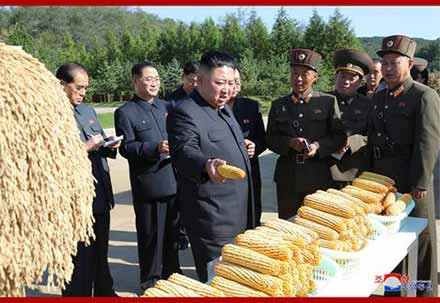 金正恩视察部队农场：解决吃饭问题要有决定性转变