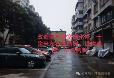 新乡市红旗区一社区铲绿扩路引质疑，老旧小区改造岂能“以硬代绿”？