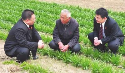 合格的马克思主义者，一定不会指责群众愚昧，也不会不愿意和群众打交道，不愿意走到群众中间去。
