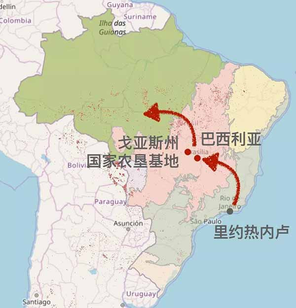 亚马逊之火，因何燃起，谁在加油？
