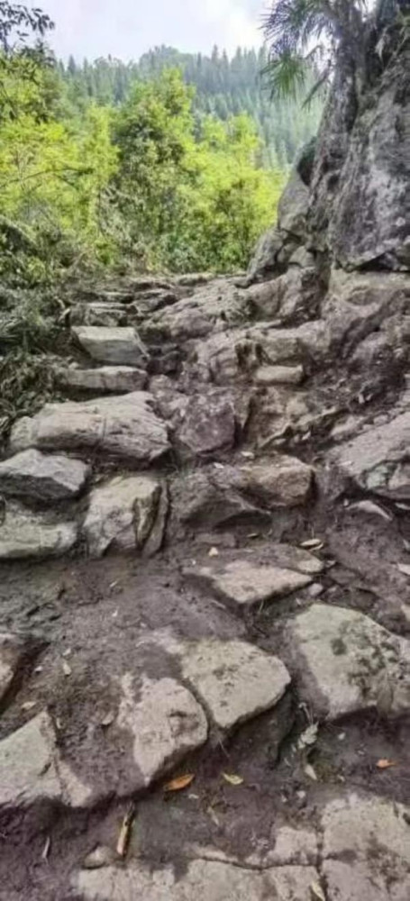 前锋:红色乌蒙山,神奇杉木沟
